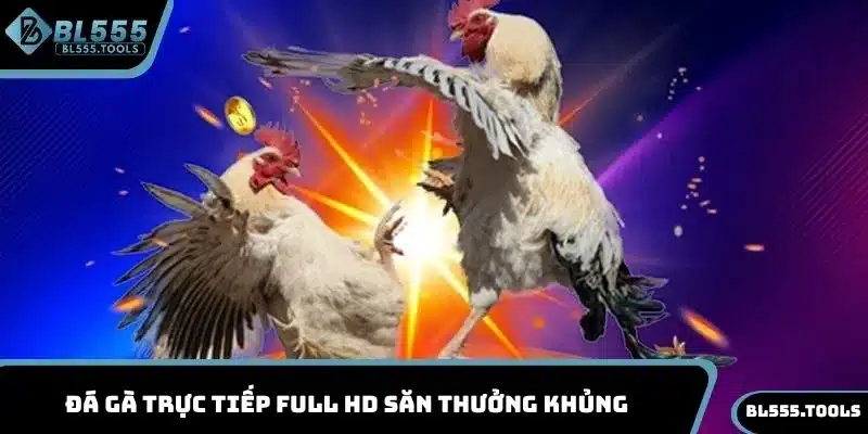 Đá gà trực tiếp full HD săn thưởng khủng